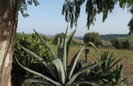 Agriturismo Uliveto Gretacci - Foto 32