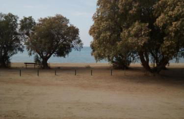 Family and friendly home. - Foto 9