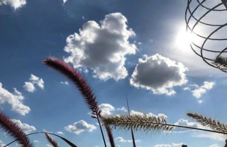 fuldaliebe - Helle Ferienwohnung mit Küche, Parkplatz, WLAN, Self Check-in - Foto 60