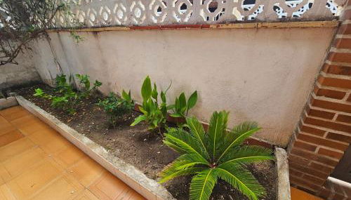 Casa de playa en Oliva al lado del MET y Campo de Golf - Photo 4, Garden