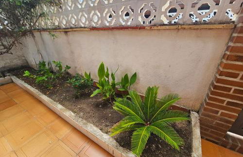 Casa de playa en Oliva al lado del MET y Campo de Golf - Photo 4