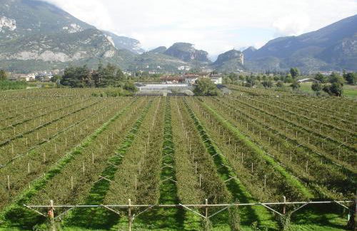 Le Servite Apartments - Foto 40