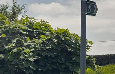 south view farm cottage 1 Bed - Foto 16