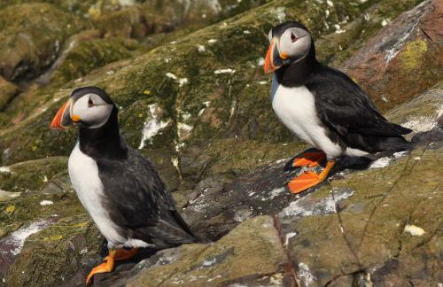 Stable Cottage at Yearle House - Photo 19
