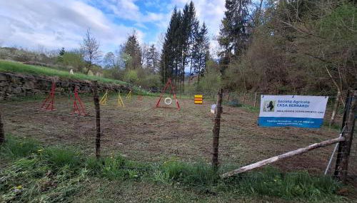 L'Antica Canonica di Casa Bernardi, terrazzo Wi-Fi PetFriendly con Area Cani - Foto 3