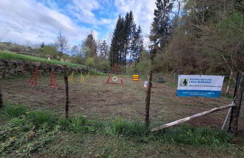 L'Antica Canonica di Casa Bernardi, terrazzo Wi-Fi PetFriendly con Area Cani - Foto 3