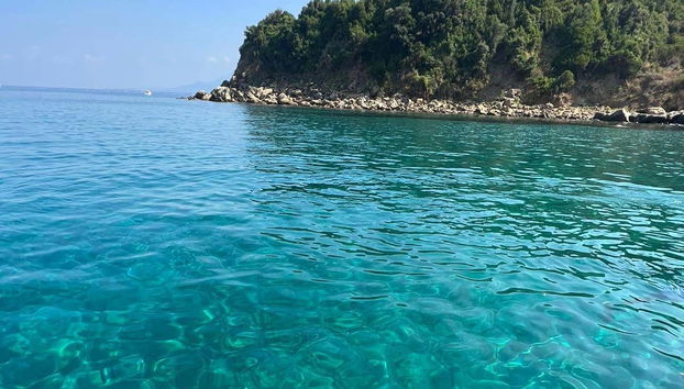 Boat Trip on the Cilento Coast - Foto 4