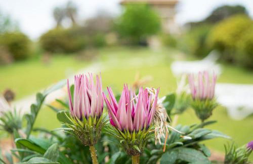 Mirsini Apartments - Foto 28