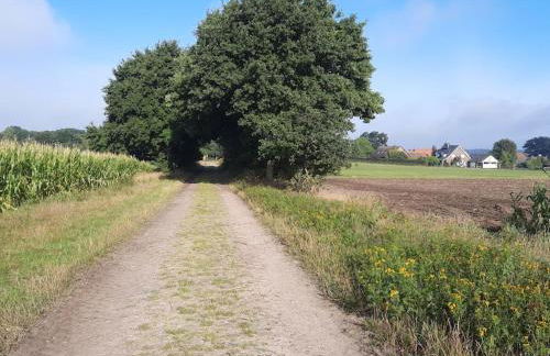 holiday apartment - Foto 38