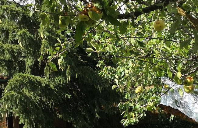 La Mandra - Photo 23