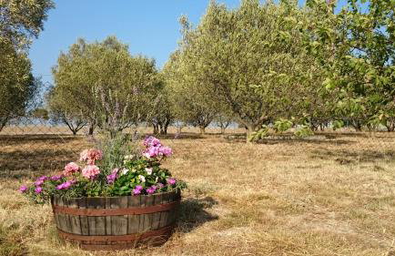 Apartment Sunset - Foto 37