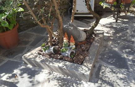 Apartamentos Cañardo Autural - Photo 7