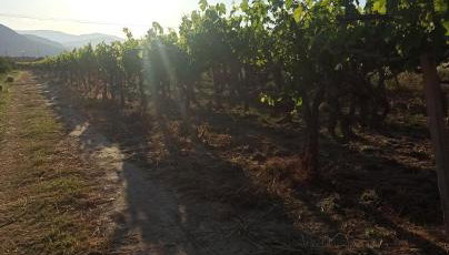 Holiday House Rizomylos - Foto 3