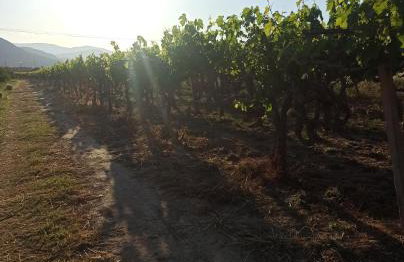 Holiday House Rizomylos - Foto 3