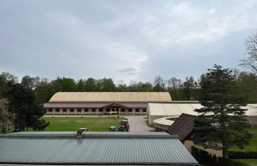 Bernsteinland Wendorf - Photo 29