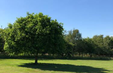 Meadows Barn - Foto 53