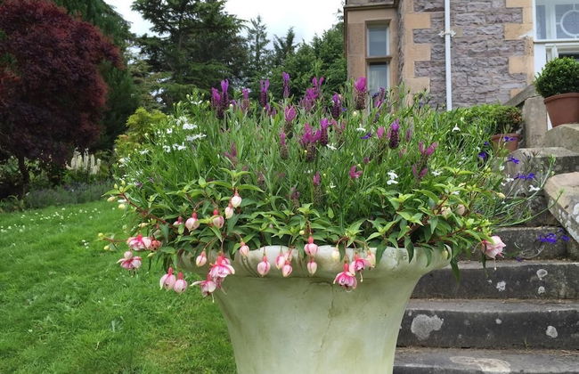 Firlands House - Foto 17