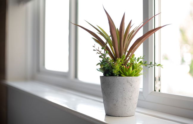 Sea Road Apartments - Foto 58