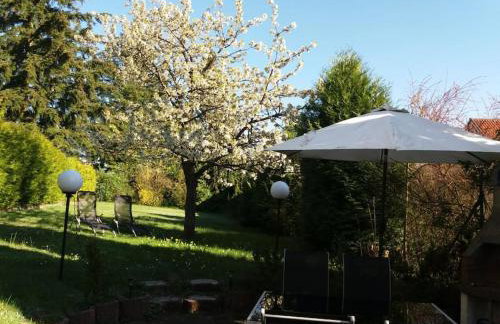 Gemütliche, helle Wohnung im Luftkurort Dansenberg - Photo 37