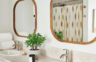 Olive and Stone - Foto 27