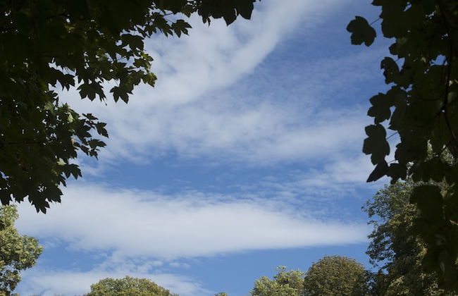 La Clairière de la Reine Hortense - Foto 34