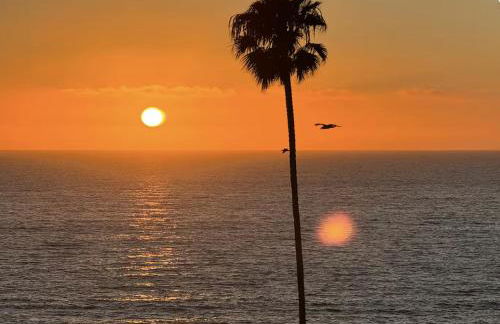 Amazing La Jolla Ocean View 2 bedroom apartment - Photo 8