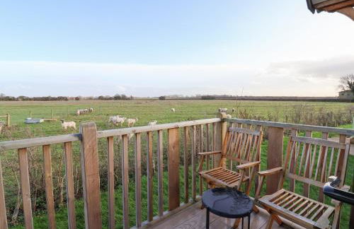 The Egyptologist - Foto 11