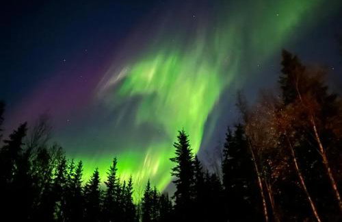 Sunflower Sanctuary - Foto 30