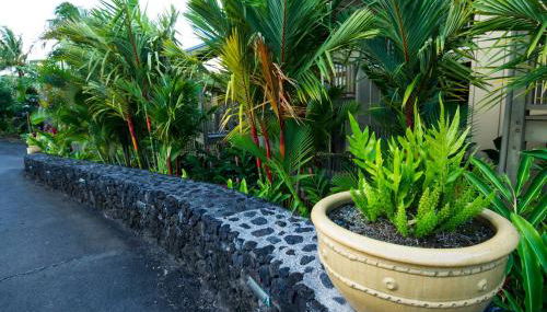 Hana Kai Maui - #201 Honokalani - oceanview 1 BR - Foto 2, Garden view