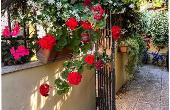 Leda's Home - Foto 44