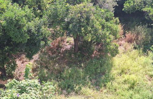 Kalamata Modern Apartment - Foto 21