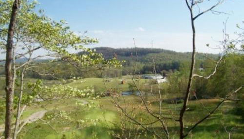 Cabin on the Hill-Peaceful 1BR 20-Acre Rural Retreat-HotTub&WiFi near Asheville - Foto 4, Garden