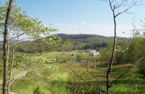 Cabin on the Hill-Peaceful 1BR 20-Acre Rural Retreat-HotTub&WiFi near Asheville - Foto 4