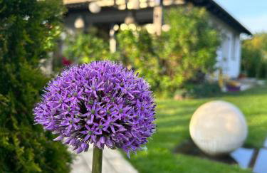 Apartament Różany - Foto 9