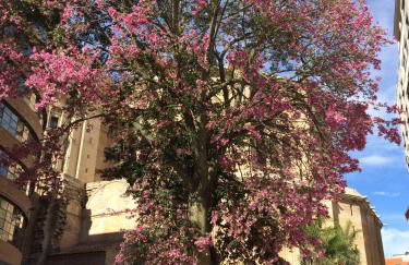 Don Juan de Málaga 2 La Catedral - Photo 29