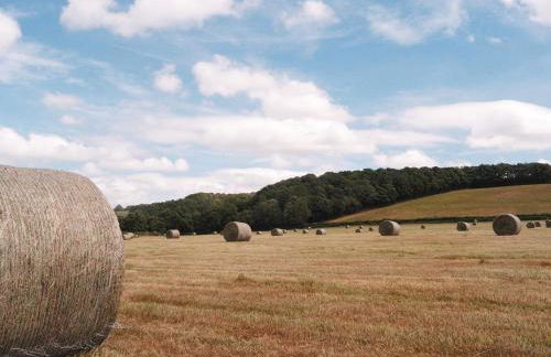Lower Tundridge Cottage - Photo 35