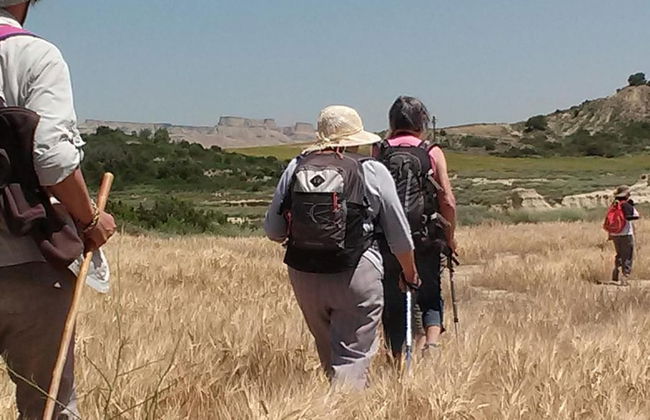 La Cañada - Foto 32