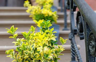 Luxury duplex in 1880s brownstone w private garden - Foto 24