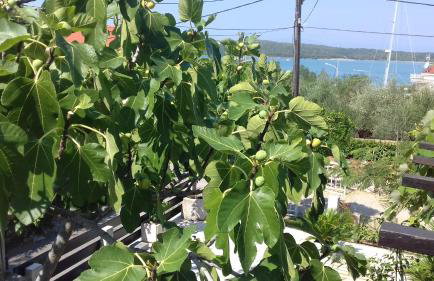 Apartment Meri - Foto 14