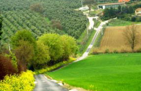 DEL CARMINE AGRIRESORT- ex a3passi - Foto 104