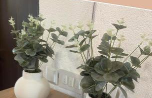 Studio apartman Iskra, self check IN-OUT - Foto 17