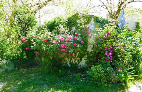 vallee du lot - Foto 14