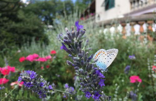 Villa Baronzola - Foto 62