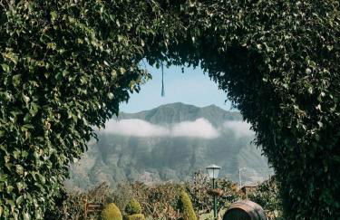 Granny's farm - Foto 45