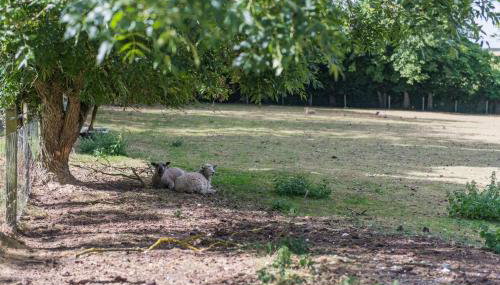 Rabbit Hole by Keepers Cottages - Foto 2