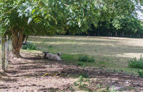 Rabbit Hole by Keepers Cottages - Photo 2