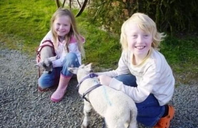 Birchill Farm Holiday Cottages - Photo 39