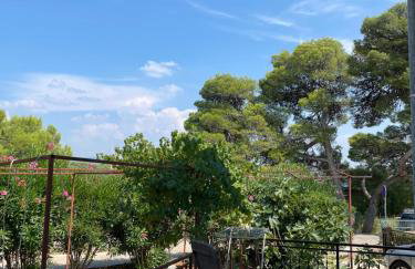 Oleander adria - Foto 20