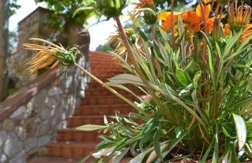 Agriturismo La Ghiraia - Foto 44