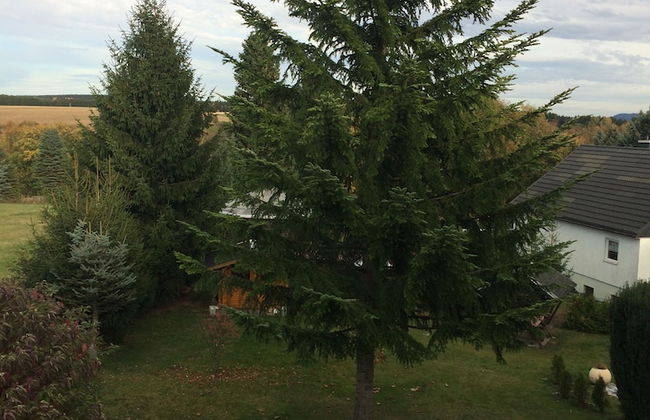 Landhotel Elterlein - Photo 31